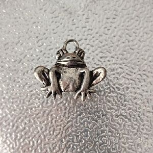 Silver Frog Charm